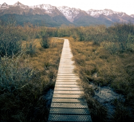 The boardwalk into the lagoon Glenorchy
