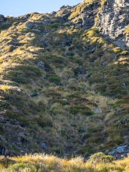 Scramble up Mount Alfred