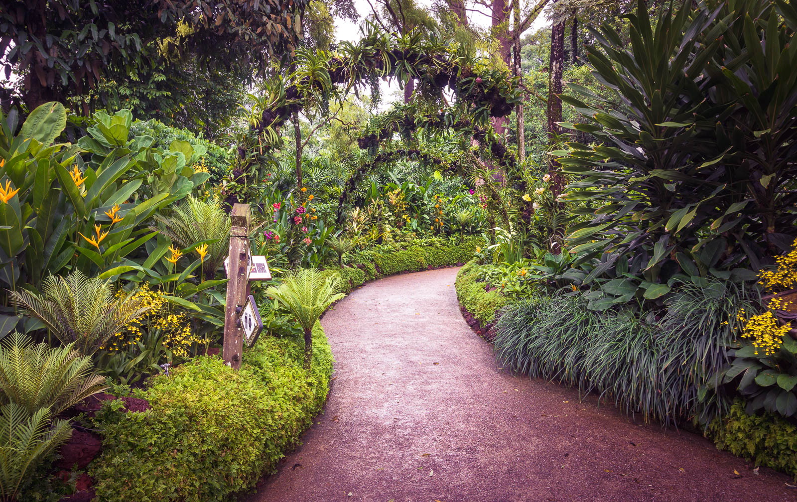 Singapore Botanic Gardens - Find Away Photography